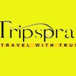 Trip spray Profile Picture