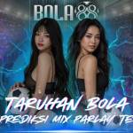 purseuing Profile Picture